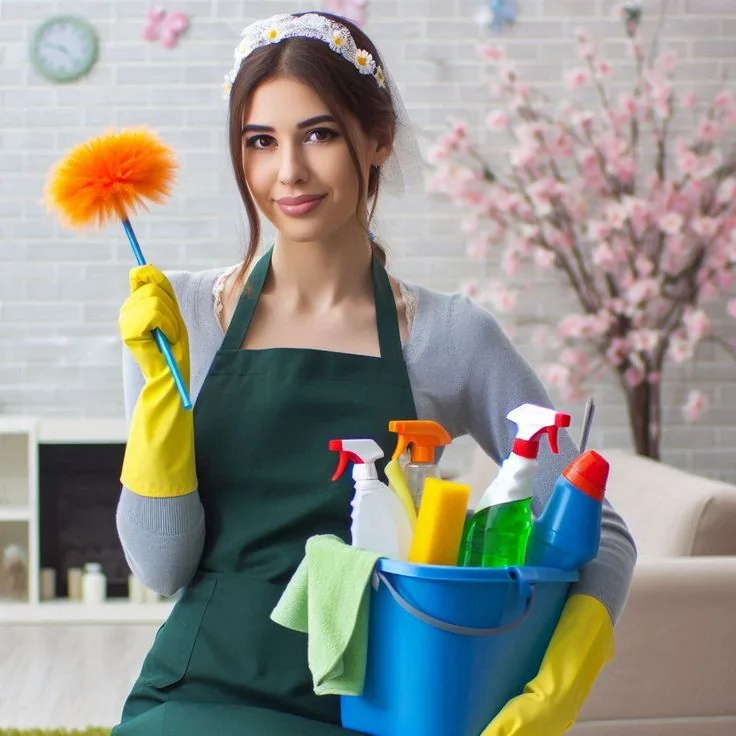 Cleaner holding cleaning supplies